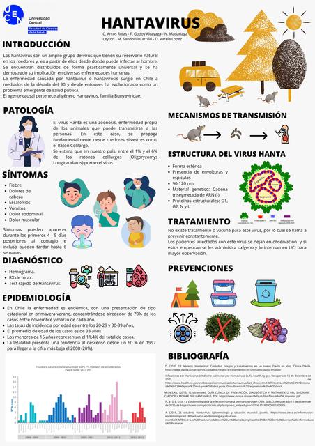 Hantavirus | Felipe Ignacio Godoy Alcayaga | uDocz