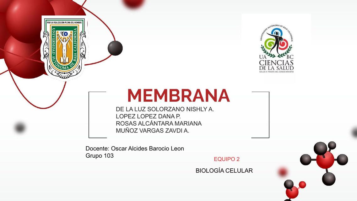 Membrana Plasmática Udocz