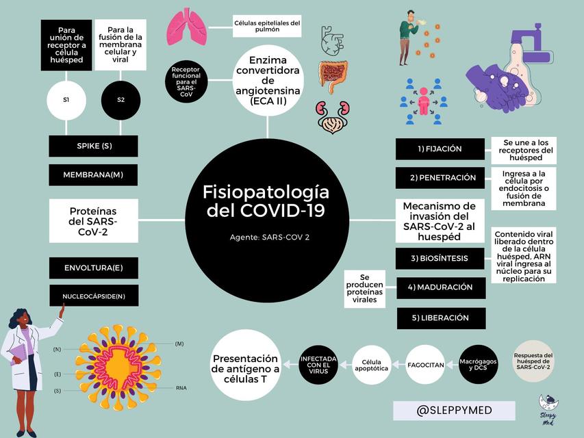 Fisiopatología Del Covid 19