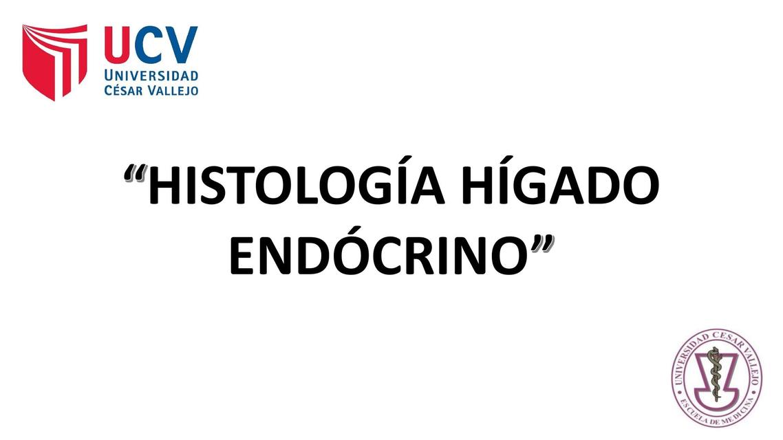 Histología Hígado Endócrino