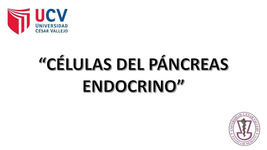 Células del Páncreas Endocrino