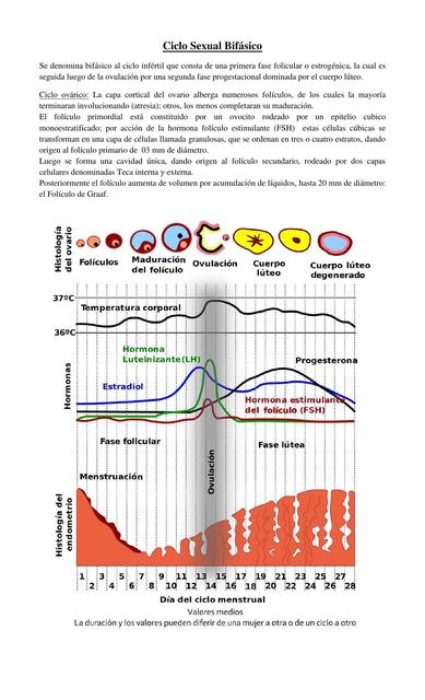 Ciclo Sexual Bifásico