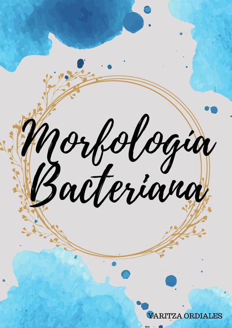 Morfología bacteriana