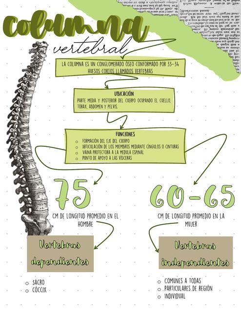 Columna vertebral, Nancy Del Angel