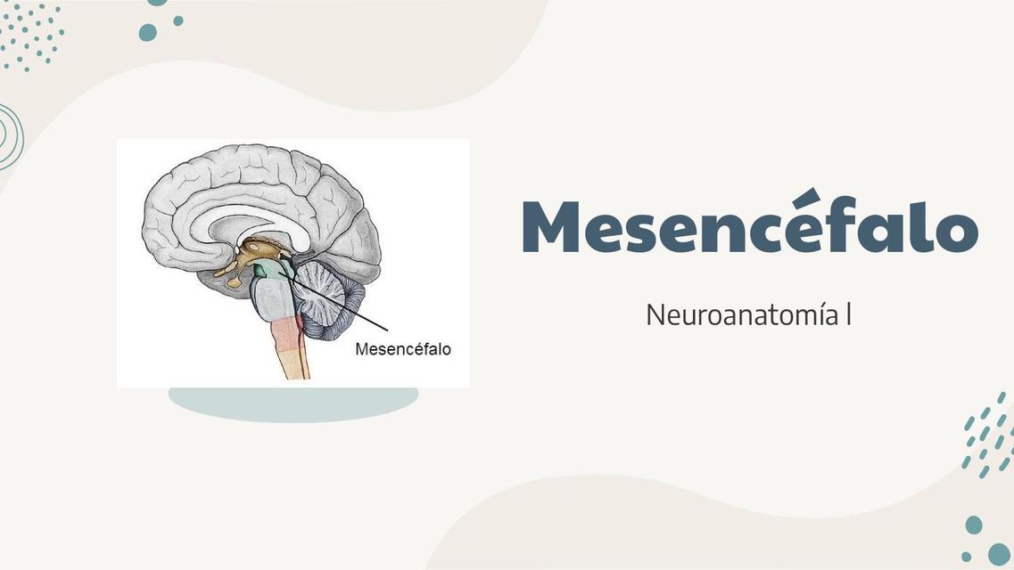 Mesencéfalo