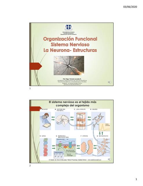 La Neurona-Estructuras