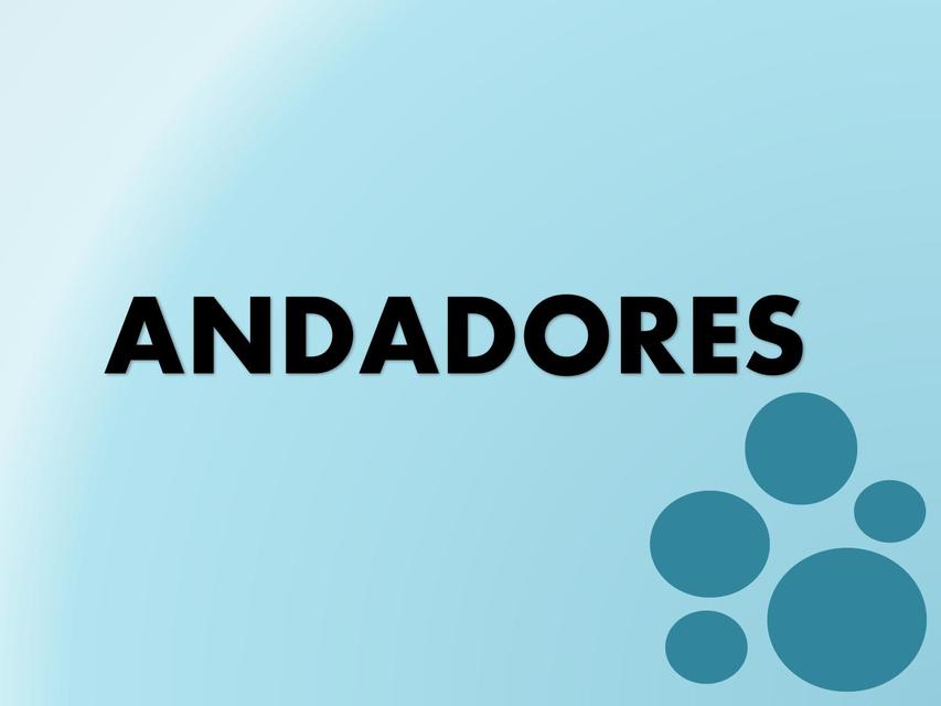 Andadores