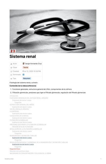 Sistema Renal