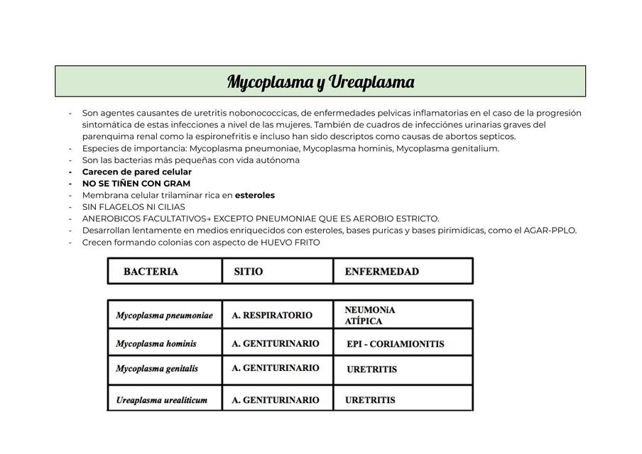 Mycoplasma y Ureaplasma 1