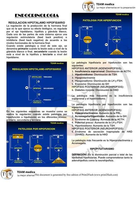 Endocrinología I