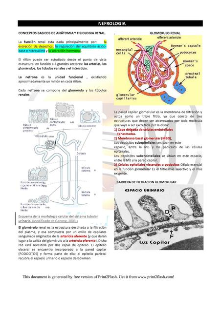 Nefrología