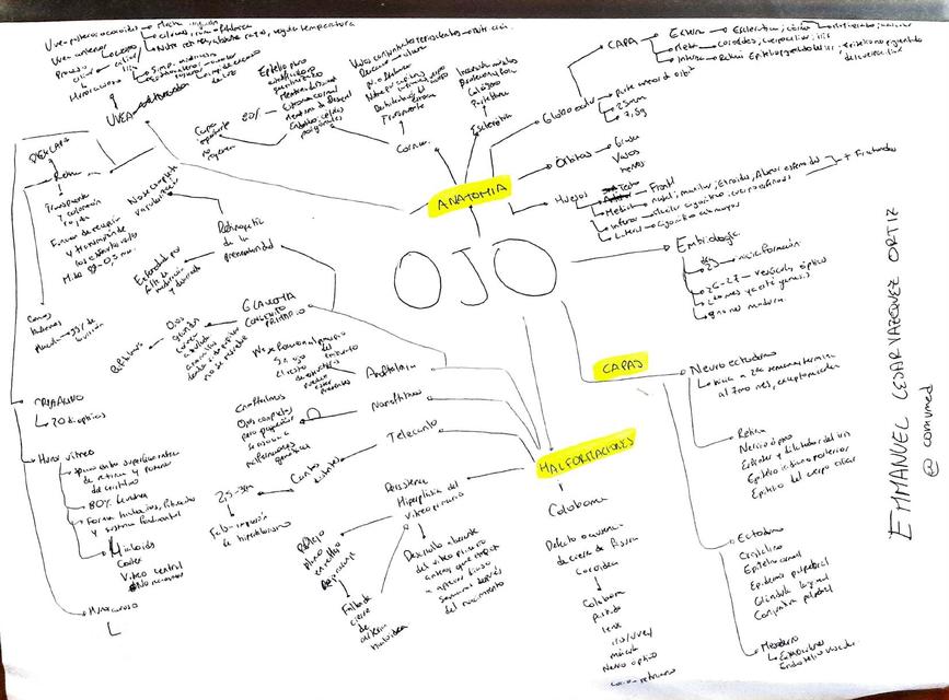 Oftalmología Embriología Anatomía 