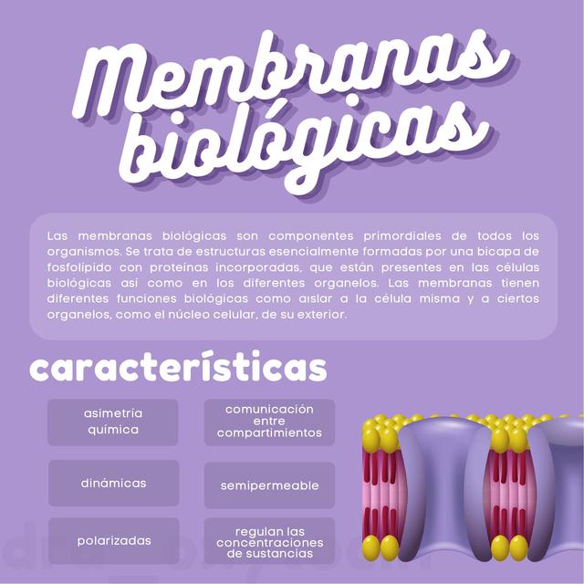 Membranas Biológicas