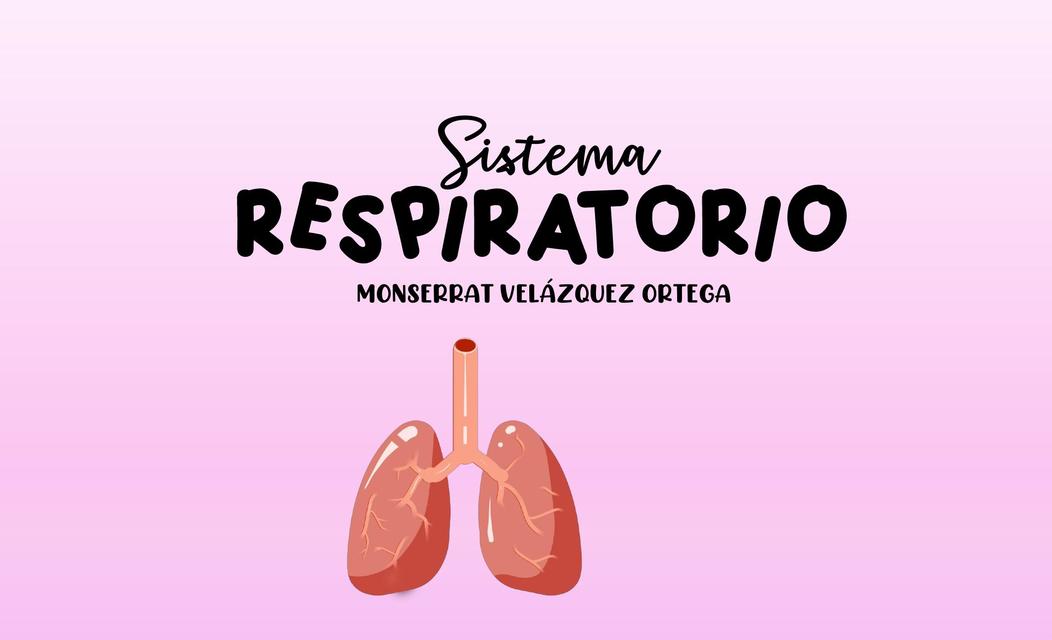 Sistema Respiratorio