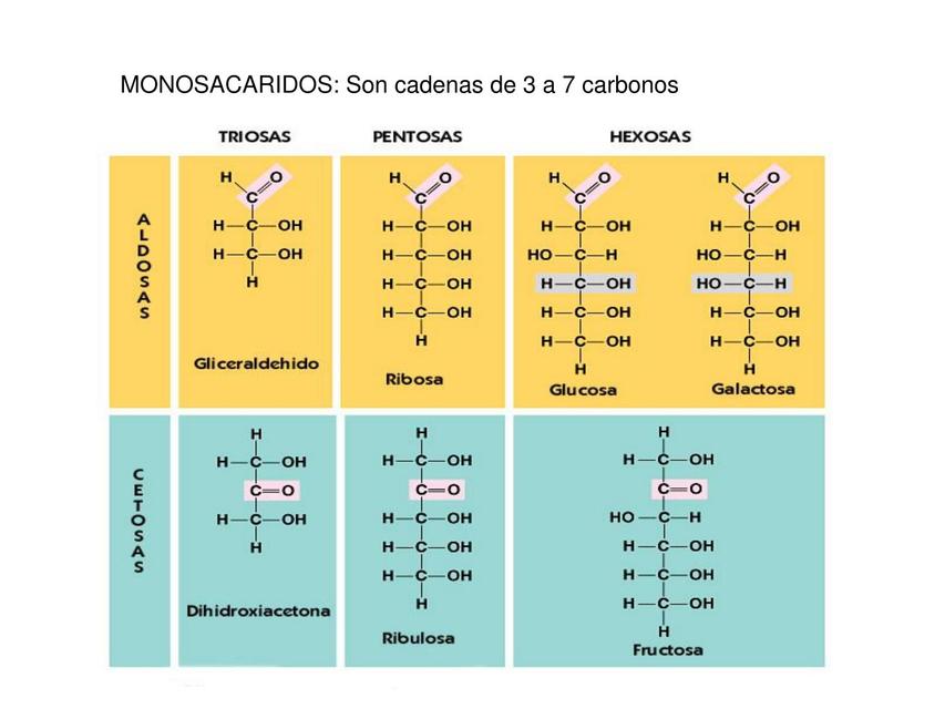 Monosacáridos 