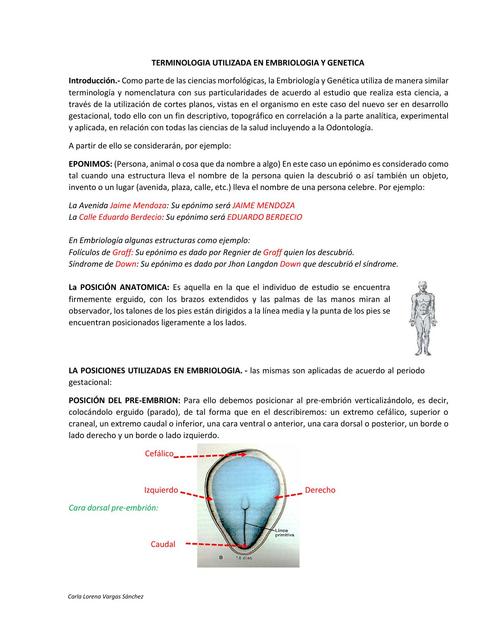 Terminología Utilizada En Embriología y Genética