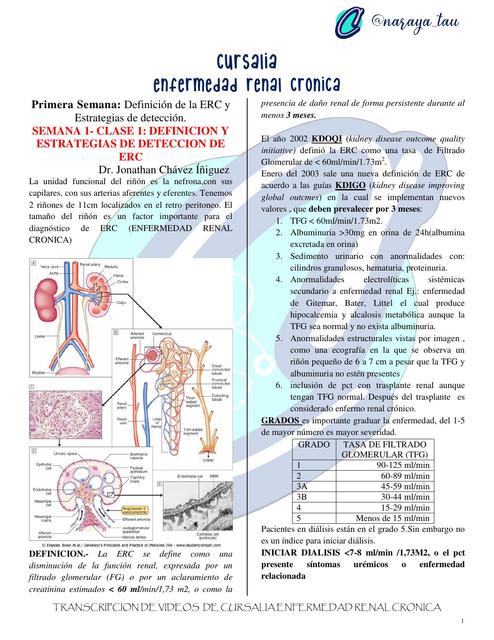 Enfermedad Renal Crónica