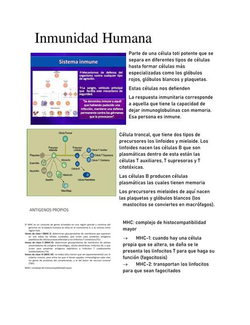 Inmunidad Humana