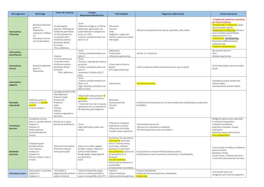 Tabla Bacterias Microbiología Bacterias Udocz