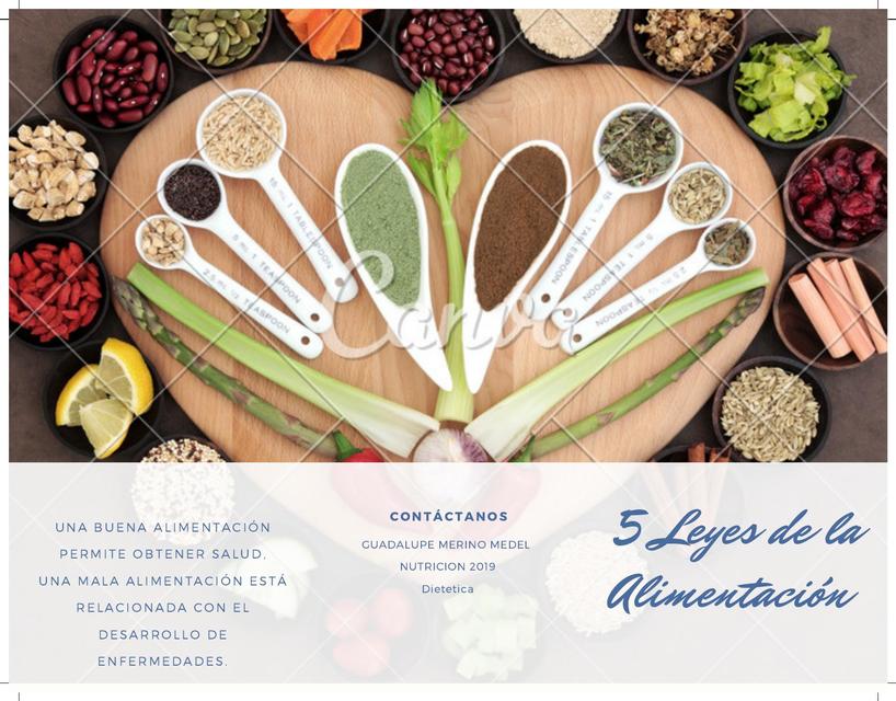 5 leyes de la alimentación