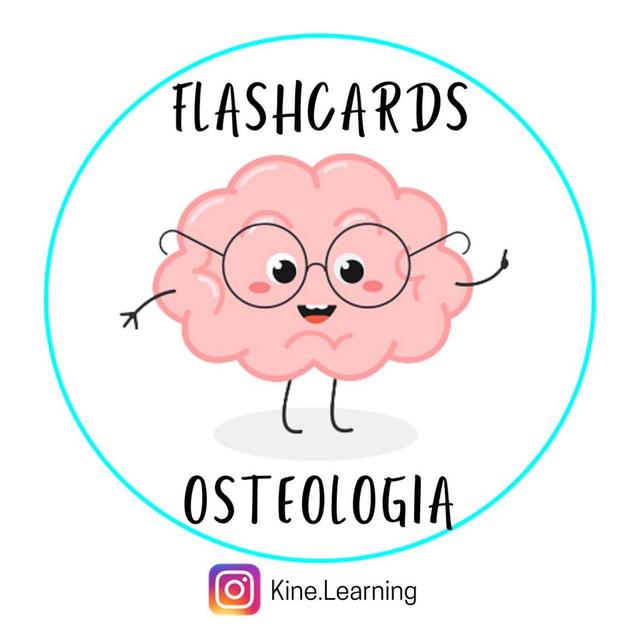 Flashcards Osteologia 