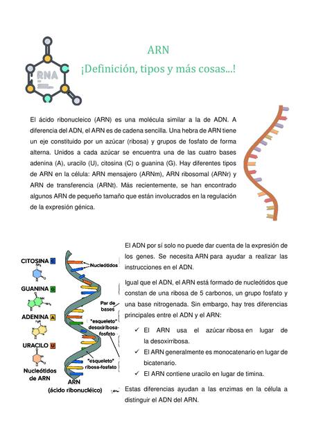 ARN y Glosario