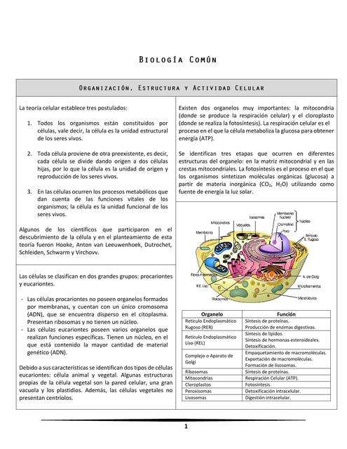 Biología Común