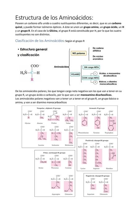 Estructura de los Aminoácidos