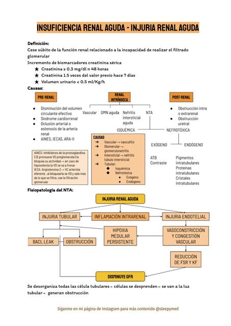 Insuficiencia Renal Aguda