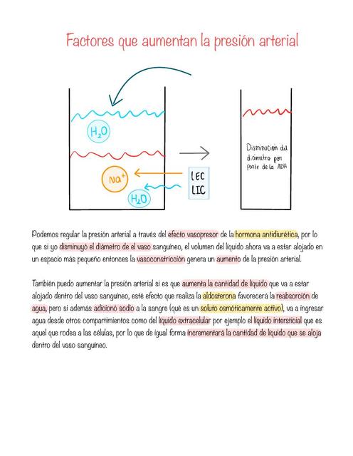 Factores que aumentan la presión arterial