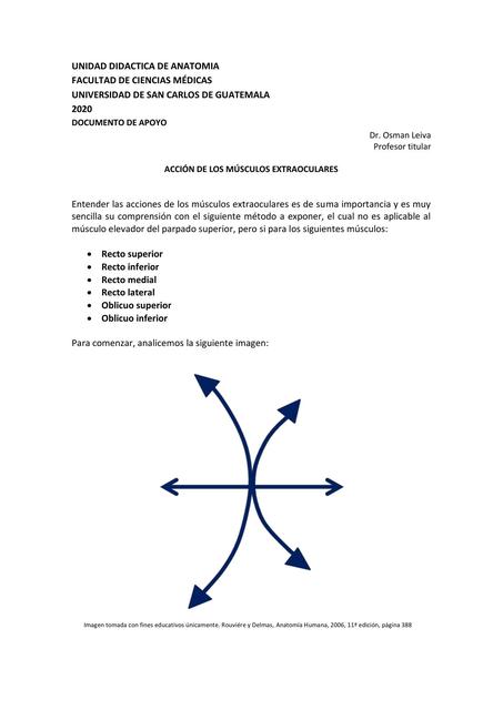 Acción de los músculos extraoculares