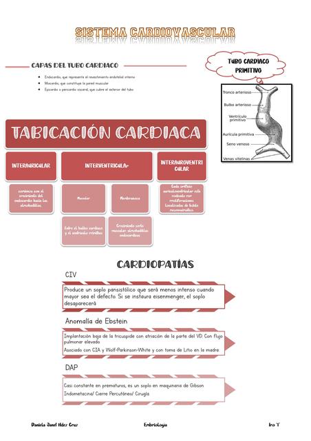 Sistema Cardiovascular