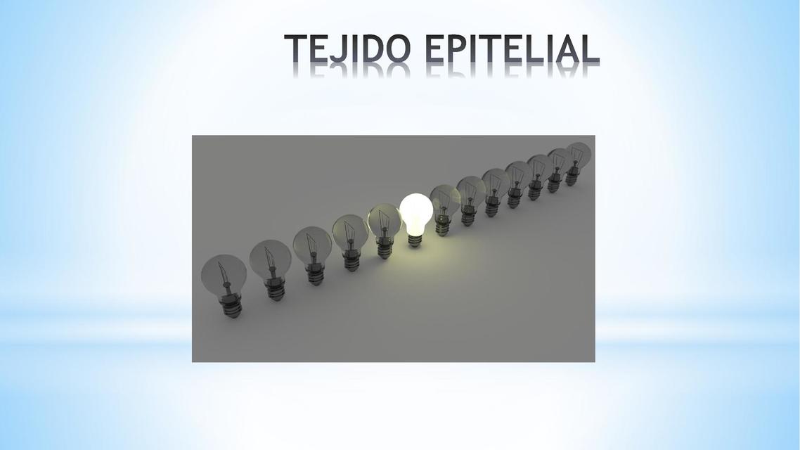 Tejido Epitelial