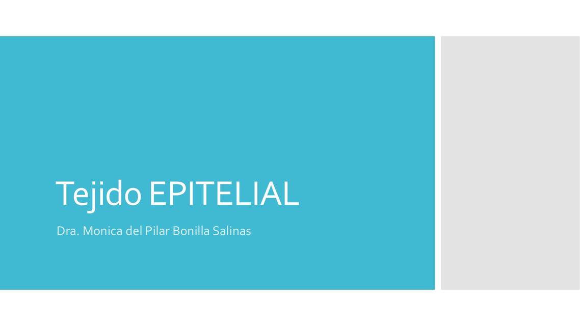 Tejido epitelial