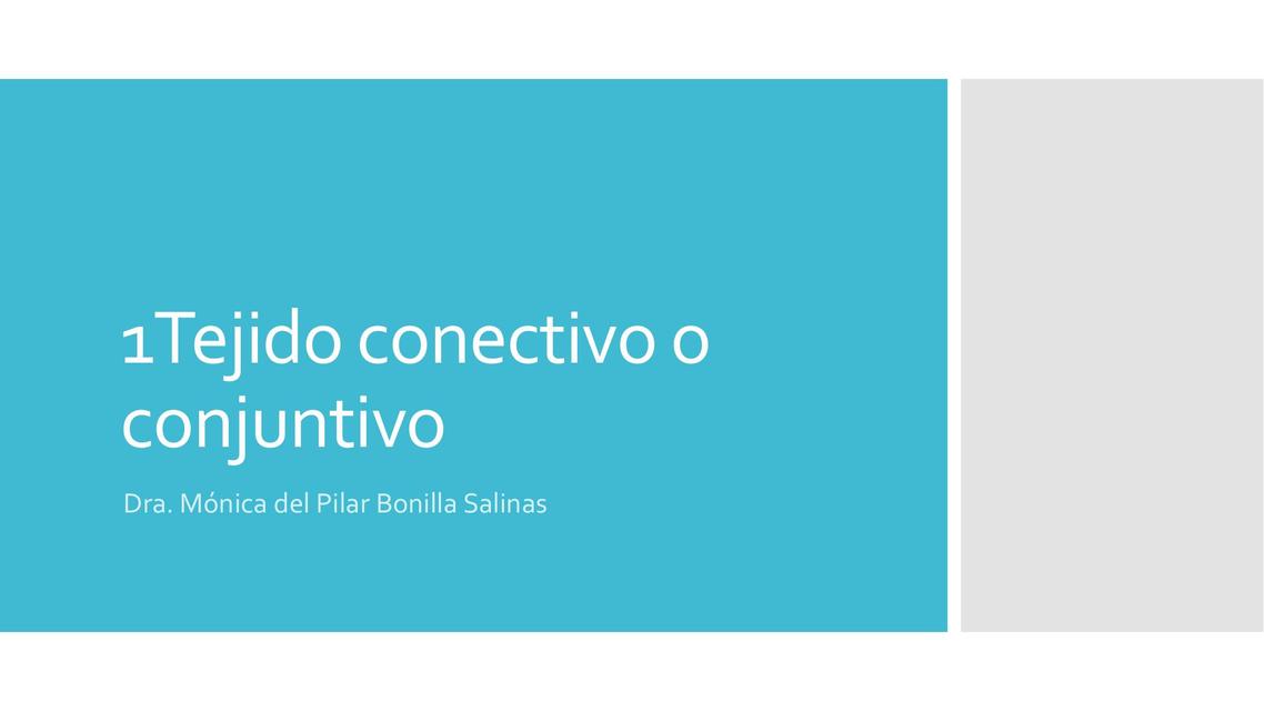 Tejido Conectivo o Conjuntivo