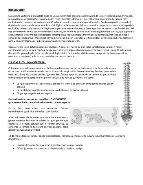 Clase 01 Columna vertebral