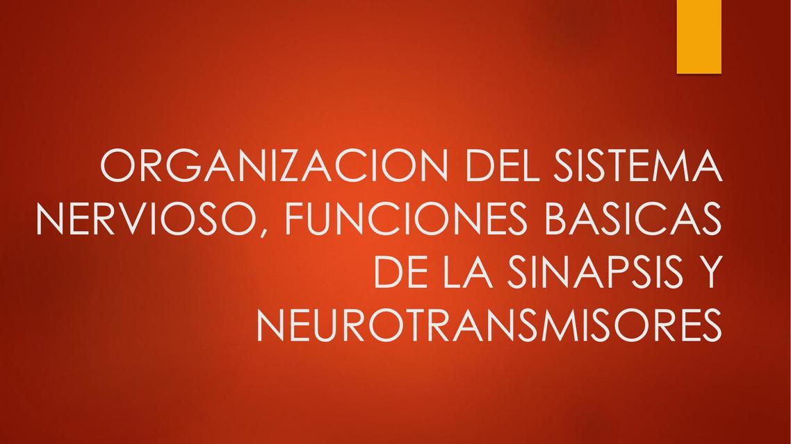 Organización del SNC sinapsis y neurotransmisores