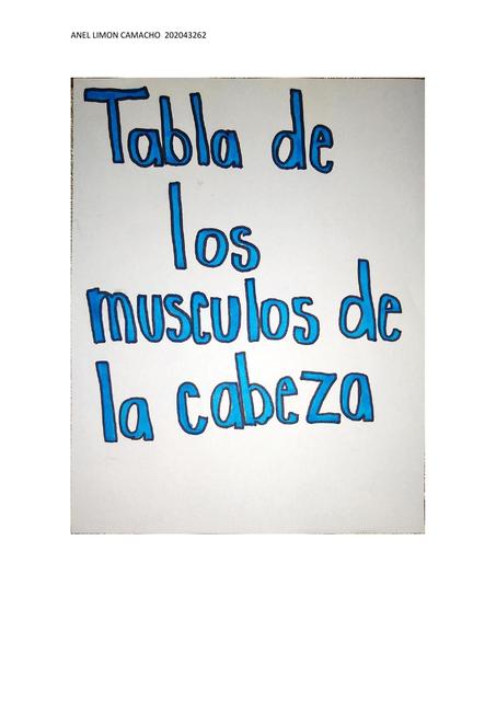 Tabla De Los Músculos De La Cabeza