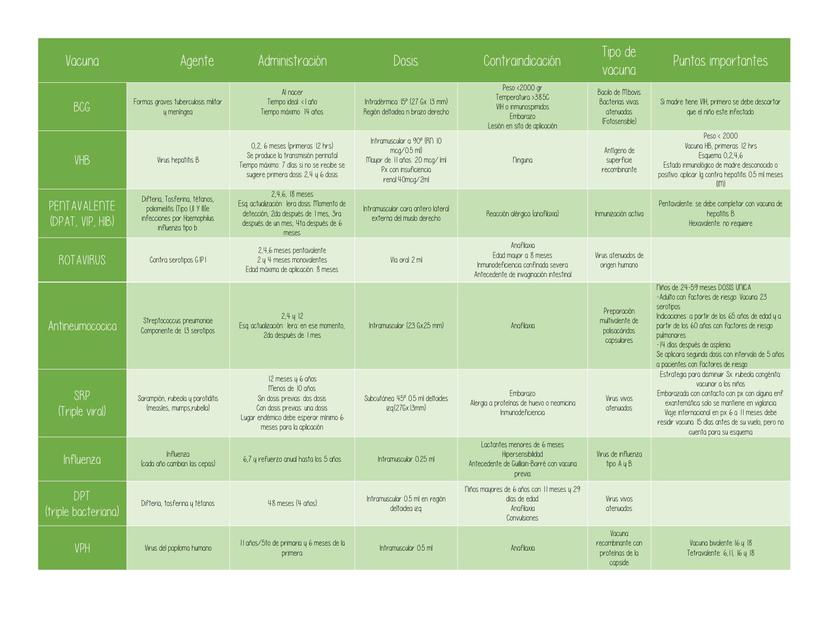 Esquema De Vacunación