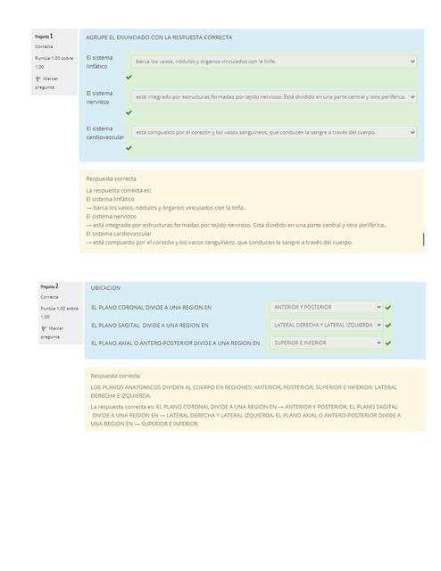 Cuestionario de Anatomía