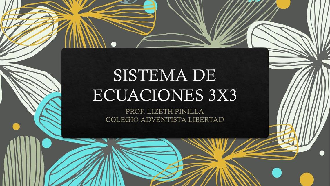 Sistema de Ecuaciones 3X3