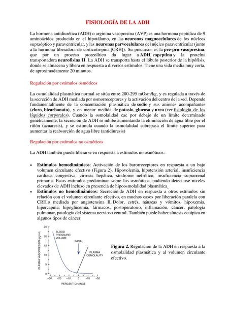 Fisiología De La ADH