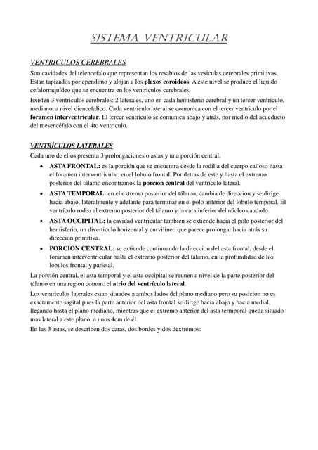 Sistema ventricular