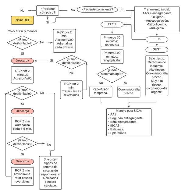 Manejo De Síndrome Coronario Agudo | Doctora Any | UDocz