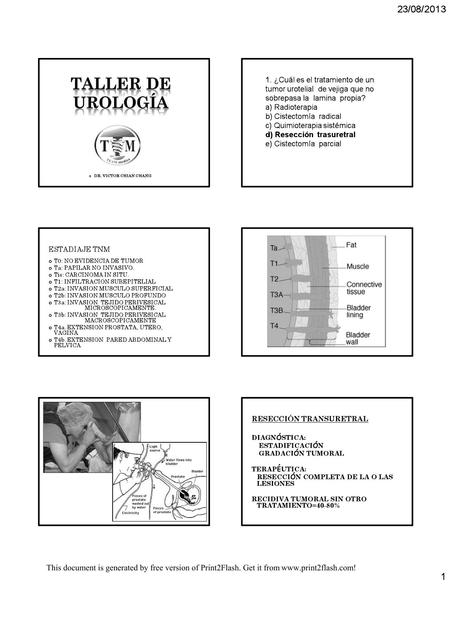 Taller de Urología