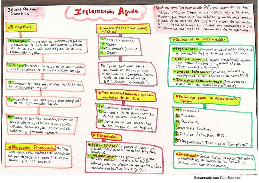 Inflamación aguda 3