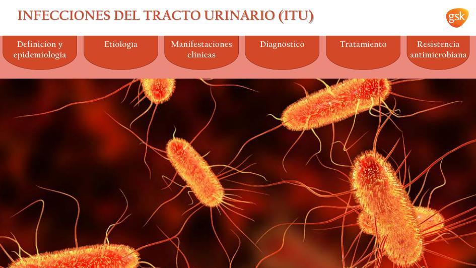 Infecciones del Tracto Urinario