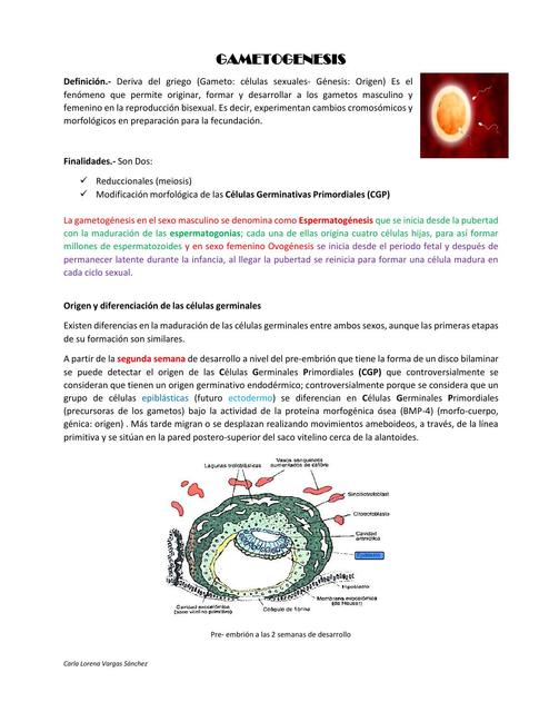 Gametogénesis