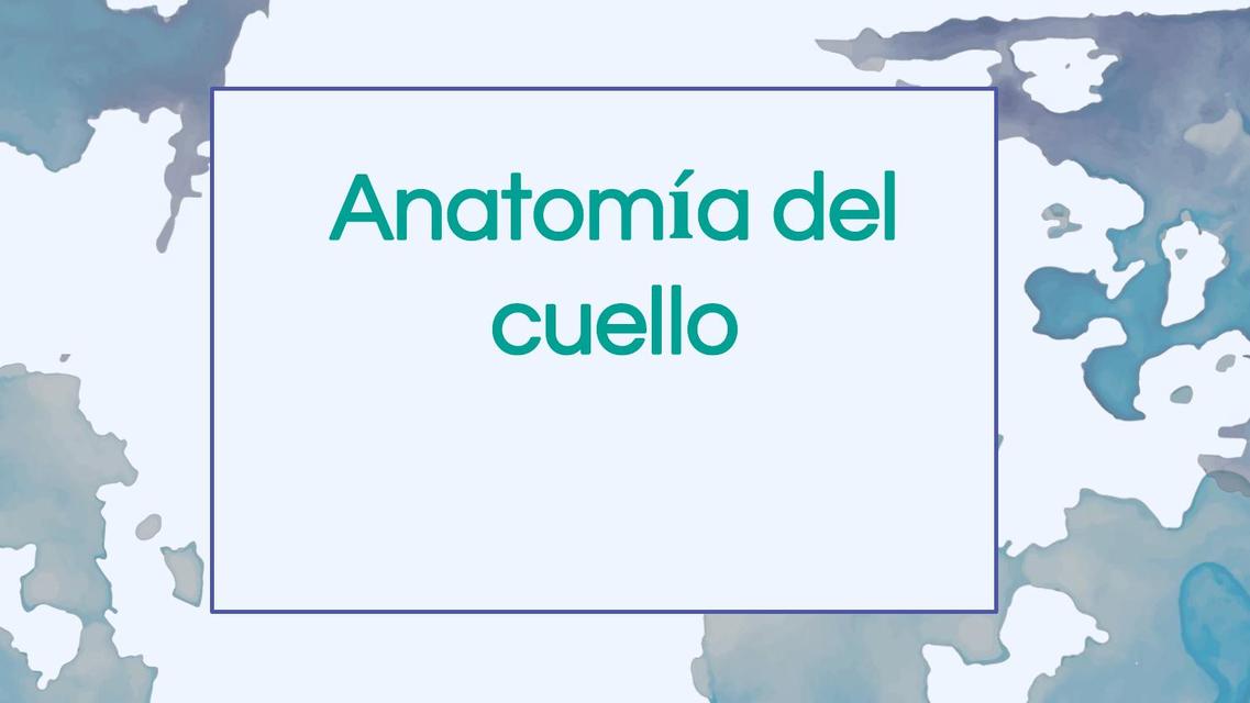 Anatomía del Cuello 