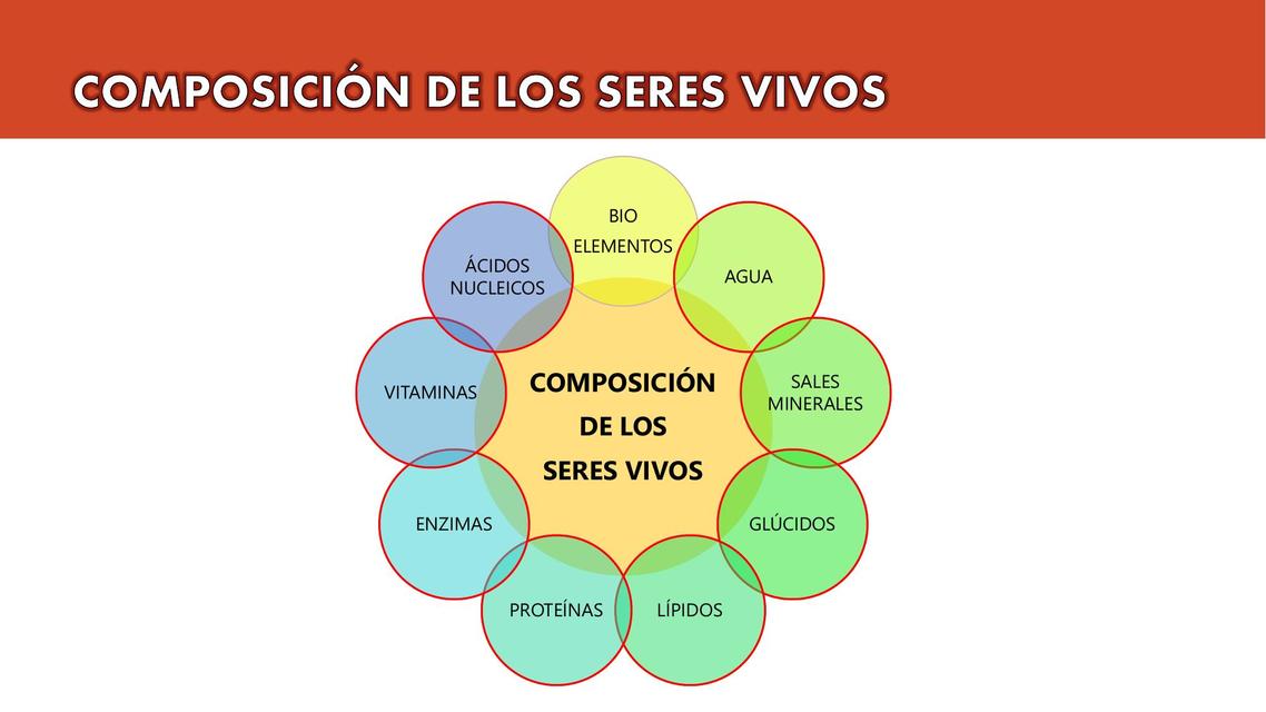 Biomoléculas Inorgánicas